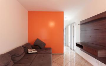 Apartamento no Condomínio Residencial Reserva Das Palmeiras à venda, 49 m² - Rio Claro/SP