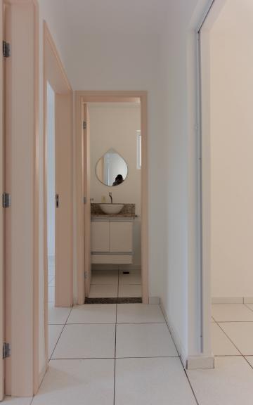 Apartamento no Condomínio Residencial Vila do Horto à venda e locação, 48 m² - Rio Claro/SP