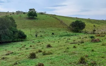 imagem 4 - Área rural com 60 mil m² - Cambuí/MG imagem 4 - Área rural com 60 mil m² - Cambuí/MG