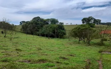 imagem 5 - Área rural com 60 mil m² - Cambuí/MG imagem 5 - Área rural com 60 mil m² - Cambuí/MG