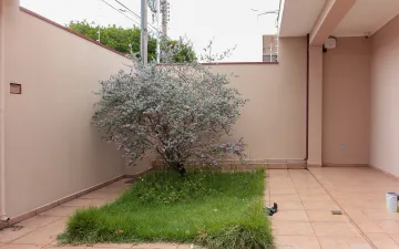Casa residencial à venda. 300 m² - Jardim América, Rio Claro/SP