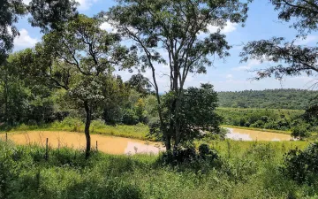 imagem 5 - Sitio à venda, 19alq - Zona Rural, Ipeúna/SP imagem 5 - Sitio à venda, 19alq - Zona Rural, Ipeúna/SP