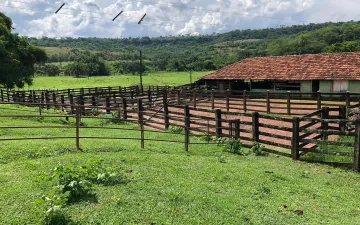 imagem 2 - Fazenda com 229 ha - Estrada rural, Prata/MG imagem 2 - Fazenda com 229 ha - Estrada rural, Prata/MG