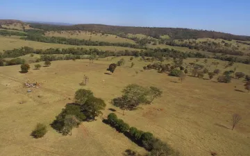 imagem 5 - Fazenda com 711,18 ha - Zona Rural, Prata/MG imagem 5 - Fazenda com 711,18 ha - Zona Rural, Prata/MG