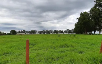 Fazenda com 401,72 ha - Zona Rural, Triângulo Mineiro/MG