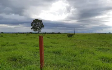 Fazenda com 401,72 ha - Zona Rural, Triângulo Mineiro/MG