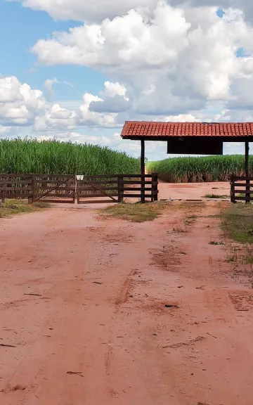 imagem 1 - Fazenda de 808 hectares - Zona Rural, João Pinheiro/MG imagem 1 - Fazenda de 808 hectares - Zona Rural, João Pinheiro/MG