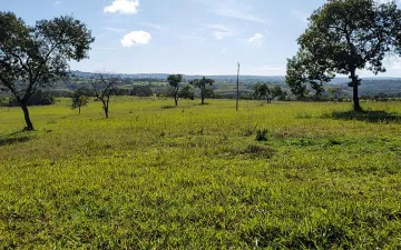 imagem 4 - Fazenda de 808 hectares - Zona Rural, João Pinheiro/MG imagem 4 - Fazenda de 808 hectares - Zona Rural, João Pinheiro/MG