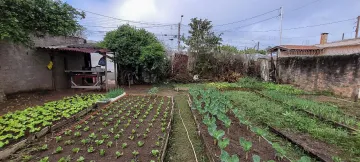 imagem 1 - Terreno - Padrão imagem 1 - Terreno - Padrão