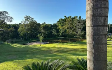 Fazenda com 111 hectares - Triângulo Mineiro