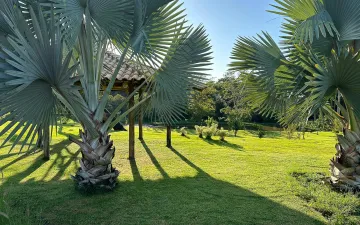 imagem 3 - Fazenda com 111 hectares - Triângulo Mineiro imagem 3 - Fazenda com 111 hectares - Triângulo Mineiro
