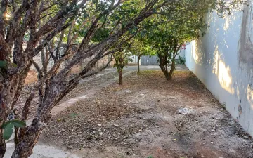 imagem 3 - Terreno - Padrão imagem 3 - Terreno - Padrão