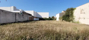 Alugar Terreno / Padrão em Rio Claro. apenas R$ 5.000.000,00