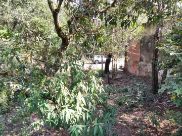 imagem 1 - Terreno, 250m² - Assistência, Rio Claro/SP imagem 1 - Terreno, 250m² - Assistência, Rio Claro/SP