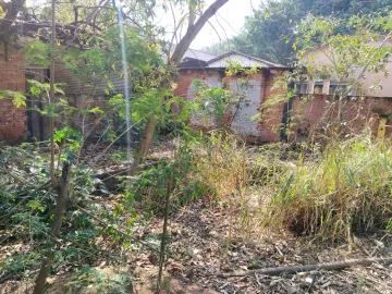 imagem 4 - Terreno, 250m² - Assistência, Rio Claro/SP imagem 4 - Terreno, 250m² - Assistência, Rio Claro/SP
