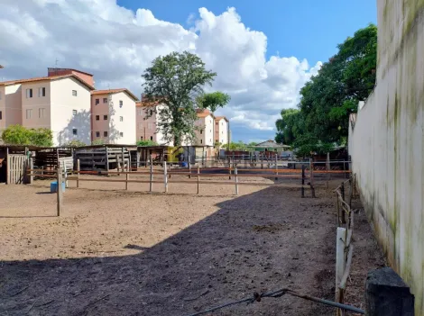 Alugar Terreno / Padrão em Rio Claro. apenas R$ 1.000.000,00