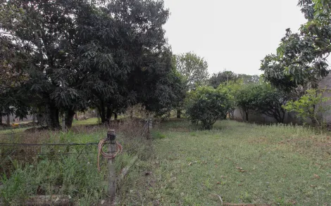 imagem 3 - Terreno com 1.662m² - Ajapi/SP imagem 3 - Terreno com 1.662m² - Ajapi/SP