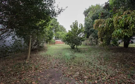 imagem 4 - Terreno com 1.662m² - Ajapi/SP imagem 4 - Terreno com 1.662m² - Ajapi/SP