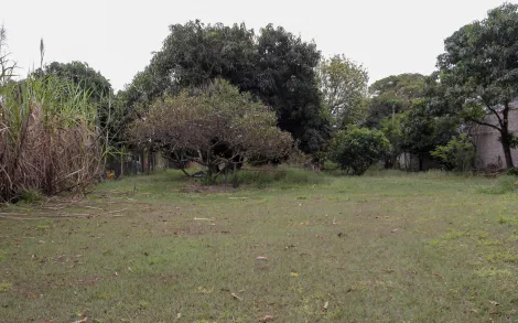 imagem 1 - Terreno com 1.662m² - Ajapi/SP imagem 1 - Terreno com 1.662m² - Ajapi/SP