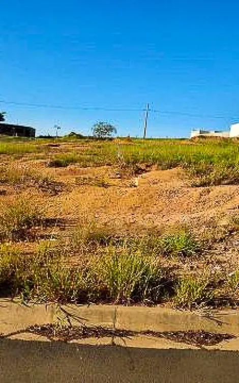 Terreno, 251m² - Jardim das Palmeiras, Rio Claro/SP