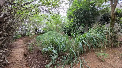 Terreno, 306m² - Jardim Porto Fino, Rio Claro/SP