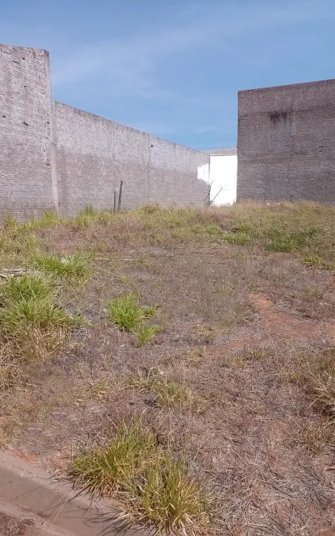 imagem 1 - Terreno, 200m² - Jardim das Palmeiras, Ipeúna/SP imagem 1 - Terreno, 200m² - Jardim das Palmeiras, Ipeúna/SP