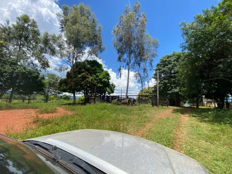 imagem 2 - Fazenda, 12 Alqueires Mineiro- Uberlândia/MG imagem 2 - Fazenda, 12 Alqueires Mineiro- Uberlândia/MG