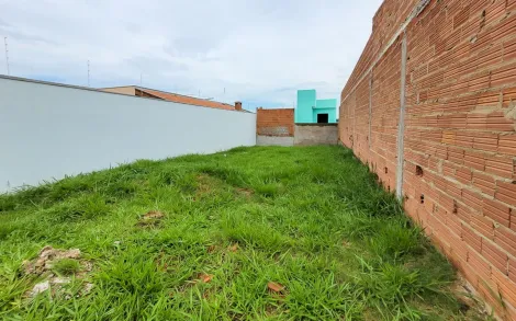 imagem 2 - Terreno - Padrão imagem 2 - Terreno - Padrão
