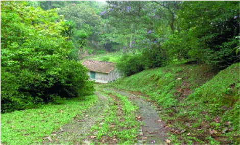 imagem 5 - Sítio com fonte de água mineral, 11,71 Alqueires - Ribeirão Pires/SP imagem 5 - Sítio com fonte de água mineral, 11,71 Alqueires - Ribeirão Pires/SP