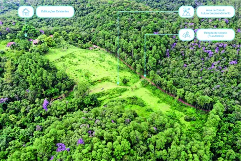 imagem 1 - Sítio com fonte de água mineral, 11,71 Alqueires - Ribeirão Pires/SP imagem 1 - Sítio com fonte de água mineral, 11,71 Alqueires - Ribeirão Pires/SP