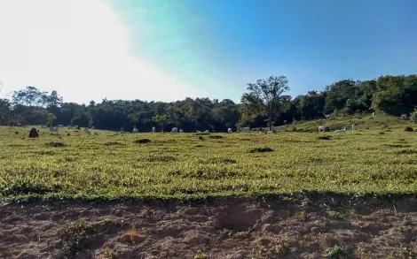 imagem 2 - Fazenda com 147 Alqueires - Passos/MG imagem 2 - Fazenda com 147 Alqueires - Passos/MG