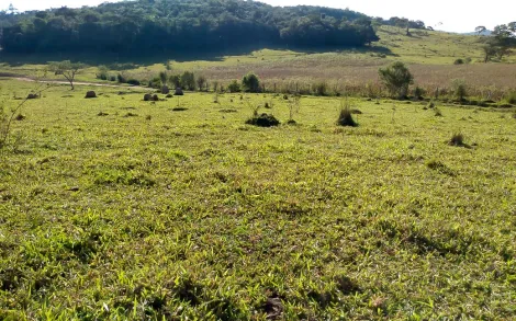 Fazenda com 147 Alqueires - Passos/MG