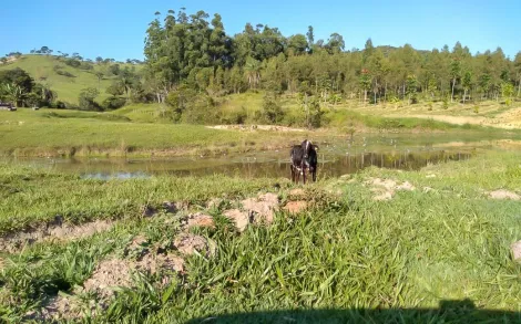 Fazenda com 147 Alqueires - Passos/MG