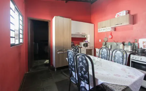 imagem 3 - Edícula com 1 quarto, 203,25 m² - Recanto Paraíso, Rio Claro/SP imagem 3 - Edícula com 1 quarto, 203,25 m² - Recanto Paraíso, Rio Claro/SP
