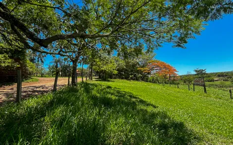 imagem 2 - Sitio/Gleba com 18.000 m² - Jacutinga, Rio Claro/SP imagem 2 - Sitio/Gleba com 18.000 m² - Jacutinga, Rio Claro/SP