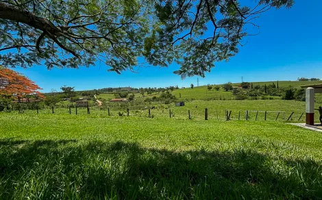 imagem 3 - Sitio/Gleba com 18.000 m² - Jacutinga, Rio Claro/SP imagem 3 - Sitio/Gleba com 18.000 m² - Jacutinga, Rio Claro/SP