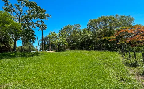 imagem 4 - Sitio/Gleba com 18.000 m² - Jacutinga, Rio Claro/SP imagem 4 - Sitio/Gleba com 18.000 m² - Jacutinga, Rio Claro/SP