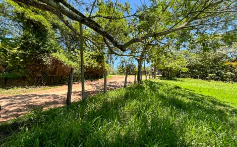 imagem 5 - Sitio/Gleba com 18.000 m² - Jacutinga, Rio Claro/SP imagem 5 - Sitio/Gleba com 18.000 m² - Jacutinga, Rio Claro/SP