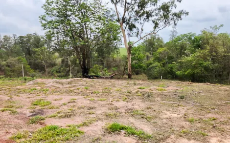 imagem 3 - Sítio com 20.000 m² - Zona Rural, Rio Claro/SP imagem 3 - Sítio com 20.000 m² - Zona Rural, Rio Claro/SP