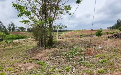 imagem 4 - Sítio com 20.000 m² - Zona Rural, Rio Claro/SP imagem 4 - Sítio com 20.000 m² - Zona Rural, Rio Claro/SP