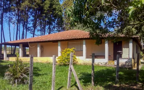 imagem 4 - Sítio com 3,3 Alqueires Paulista - Bairro dos Pereiras, Ipeúna/SP imagem 4 - Sítio com 3,3 Alqueires Paulista - Bairro dos Pereiras, Ipeúna/SP