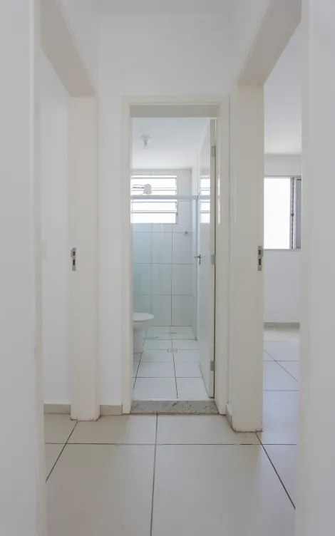 imagem 4 - Apartamento com 2 quartos no Condomínio Parque Rainha Silvia, 48m² - Jardim Paulista, Rio Claro/SP imagem 4 - Apartamento com 2 quartos no Condomínio Parque Rainha Silvia, 48m² - Jardim Paulista, Rio Claro/SP