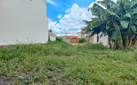 Terreno residencial à venda, 536,66m² - Vila Nova - Rio Claro/SP