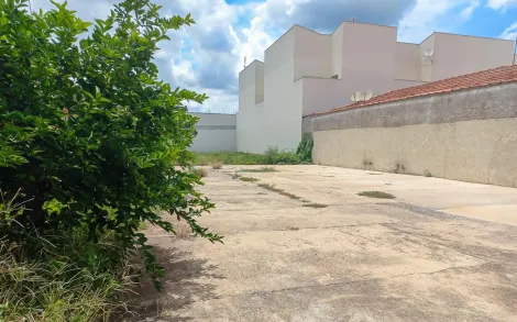 Alugar Terreno / Padrão em Rio Claro. apenas R$ 560.000,00