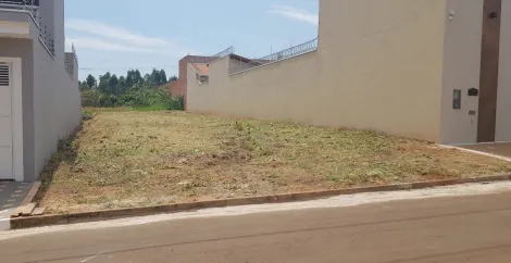 Alugar Terreno / Padrão em Rio Claro. apenas R$ 340.000,00