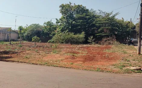 imagem 1 - Terreno - Padrão imagem 1 - Terreno - Padrão