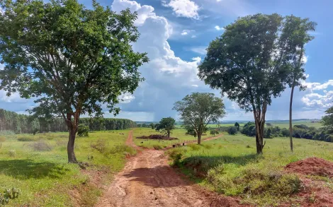 imagem 3 - Fazenda com 63 Alqueires Mineiro - Uberlândia/MG imagem 3 - Fazenda com 63 Alqueires Mineiro - Uberlândia/MG