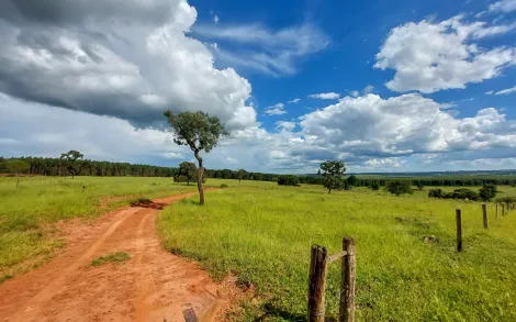 Fazenda com 63 Alqueires Mineiro - Uberlândia/MG