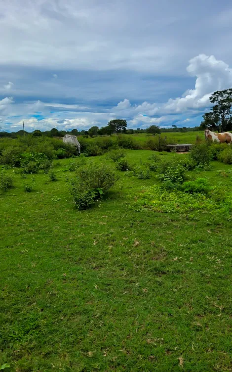 imagem 3 - Fazenda com 1.370 Alqueires - Buritizeiro/MG imagem 3 - Fazenda com 1.370 Alqueires - Buritizeiro/MG
