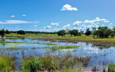 Fazenda com 1.370 Alqueires - Buritizeiro/MG